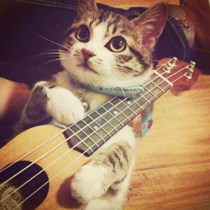 米塔瑟瑟的脚丫子图片
